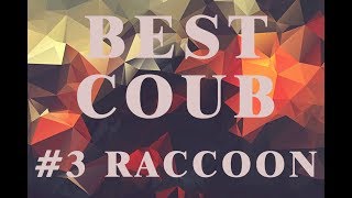 BEST #COUB 3 RACCOON | ЛУЧШЕЕ ВИДЕО COUB C ЕНОТАМИ | 2019 | BEST #CUBE