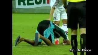Torcedor invade campo e tira foto com Fred no jogo BOTAFOGO X FLUMINENSE