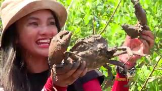 JEJAK PETUALANG | SUSUR PESONA SUMBAWA (22/01/20) Part 2