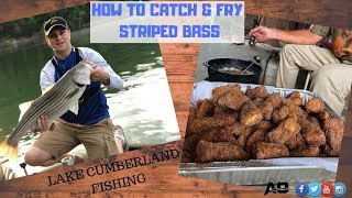 HOW TO CATCH & COOK STRIPED BASS!!: Lake Cumberland