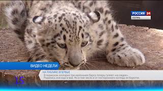 Вести Пермь. События недели 05.08.2018