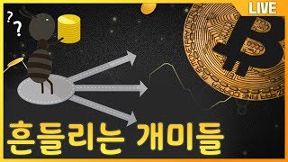 알트 사승장 분석 비트코인 뉴스 차트분석 매수타점   bitcoin #비트코인  #리플 #XRP  #bitcoin