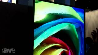 InfoComm 2013: NEC Discusses the X841SR