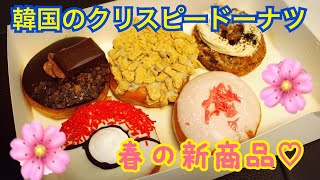 【韓国】クリスピードーナツ春の新商品食べてみた！
