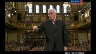 New Year's Concert 2014 with Daniel Barenboim - Golden Hall of the Musikverein