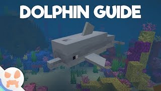 Update Aquatic DOLPHIN GUIDE!