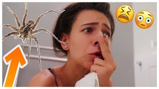 RIESEN SPINNE KRABBELT BRUDER IN BADEMANTEL!!! - DAILY VLOG | Einfach Marci