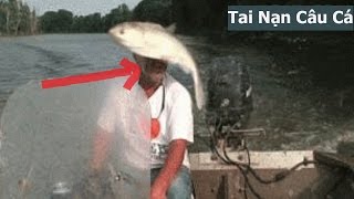 10 tai nạn hài hước câu cá có thật bạn có tin không | Lists 10 sự thật