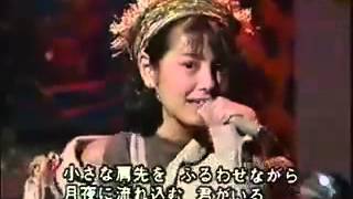 芳本美代子　センチメンタルカーニバル