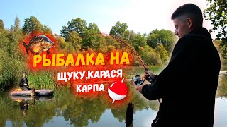 Рыбалка на заброшенном пруду что мы нашли на дне водоема