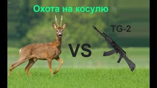 Охота на косулю с сайги TG-2 366ткм.