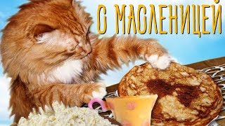 Поздравляю с Масленицей! Прикольное Поздравление для Родных Людей на Масленицу