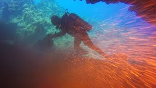Diving Sharm el Sheikh, March 2016