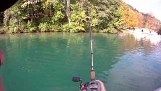 Savage Gear 3D trout swimbait 27,5cm casting