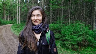 Увидели нечто в таинственном лесу. Путешествие в рощу Петра I