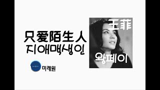 [중국노래]한글가사/해석/자막/병음 왕페이(王菲)의 낯선 사람만  사랑해요(只爱陌生人 지애맥생인)