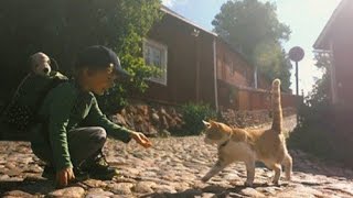 Satumainen Porvoo - Sagolika Borgå