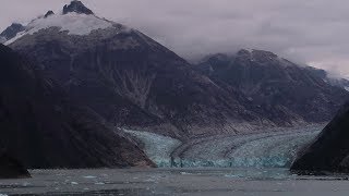 Disney Wonder Alaska Cruise 2019 | Day Three - Dawes Glacier | Palo Brunch, Glaciers, and Frozen!