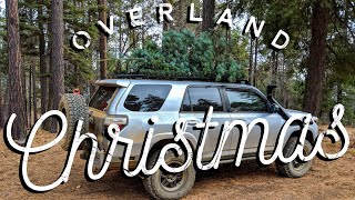 Overland Christmas - The Tree Hunt