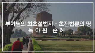 [인도불교성지순례] 최초로 설법하신 초전법륜의 땅 - 녹야원 순례