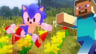 Minecraft Mod Classic Sonic Custom Animations Steve Release Video Na Zaporozhskom Portale