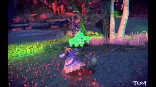[Tera HD] Guide to Mystics