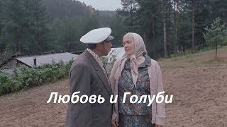 Любовь и Голуби. Весёлая песня. Прикольное видео.