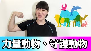 力量動物(守護動物)常夢到看到、動物符號代表什麼？ ❚ 超級旅行者
