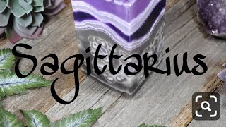Sagittarius monthly love reading Feb 2020.. Someone is Determined to make you their Life Partner