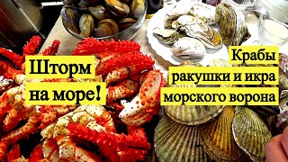 Шторм на море! Крабы, ракушки и икра морского ворона