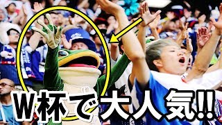 外国人衝撃!日本代表サポーターの中に混じるカエルが海外で大人気に!海外メディアで注目され海外絶賛【海外の反応】