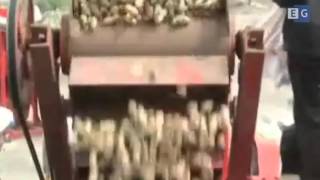 Станок для очистки арахиса