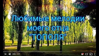 Тополя, тополя в город мой влюбленные. Любимые мелодии моего отца на баяне.