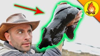 BIGGEST SLUG EVER?!