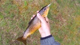 Fishing: catching 20+ trout on Pontoon21 lures. Рыбалка, твитчинг: 20+ форелей за 2 дня