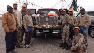 Benson's Kennel Louisiana Rabbit Hunting With Beagles