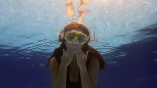 Crazy Diver / 蘇阿姨美食旅遊大小事