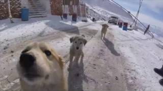 Leh Ladakh in Winters -35°c - mountains calling!