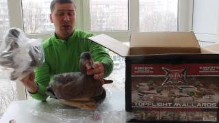 Обзор чучел Avian-X Mallard Floaters "OPEN WATER DECOYS - 6 PACK" Открытие посылки "Unboxing"