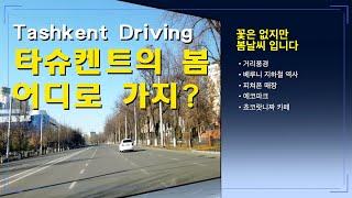 타슈켄트의 봄 | 어디로 가지? | 살구꽃 봄날이 코앞으로 다가왔습니다.
