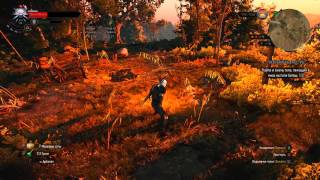 The Witcher 3 Баг - Пропала Анимация огня и некоторых знаков