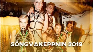 Söngvakeppnin 2019 - Final - My Top 5 (Eurovision Iceland 2019)