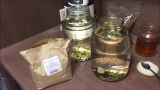 Хлебно чесночная настойка