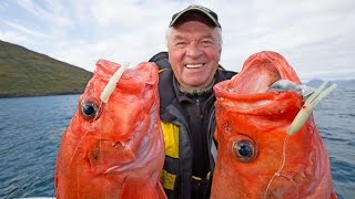 Angeln in Norwegen: Der Rognsund, Region Sørøya, Seiland, Alta. Heilbutt und Rotbarsch XXL