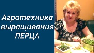 АГРОТЕХНИКА И БИОЛОГИЯ ПЕРЦА. Выращивание рассады перца сладкого и горького