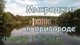 Микроджиг в пригороде (твистера 1" (2,5 см))