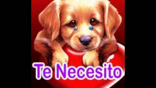 mejores imágenes para  (enamorados)