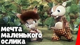 Мечта маленького ослика (1984) мультфильм