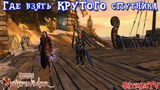 Neverwinter - Крутой спутник совершенно БЕСПЛАТНО!