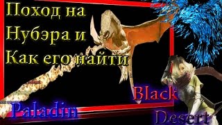 Black Desert #30 Нубэр БДО ,как найти,дроп